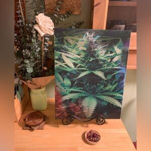 Stoner Lenticular Print, Vibrant Botanical Art Print, Image Changing, Weed